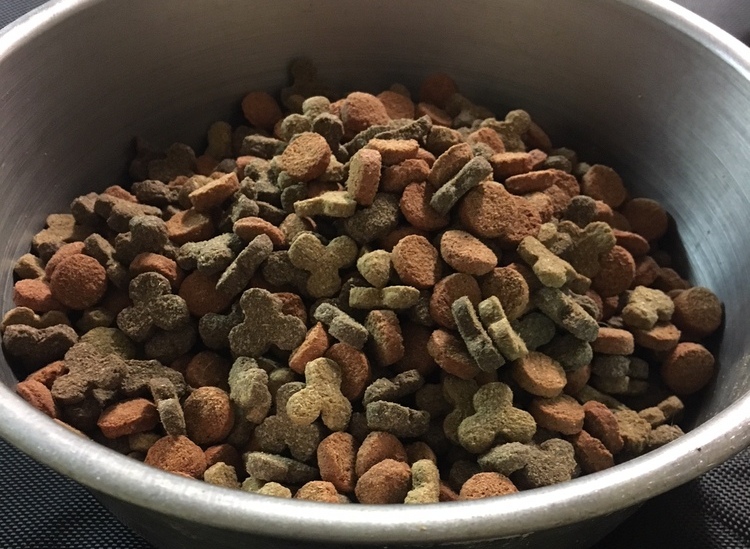 Serological diagnosis of cutaneous adverse food reactions 