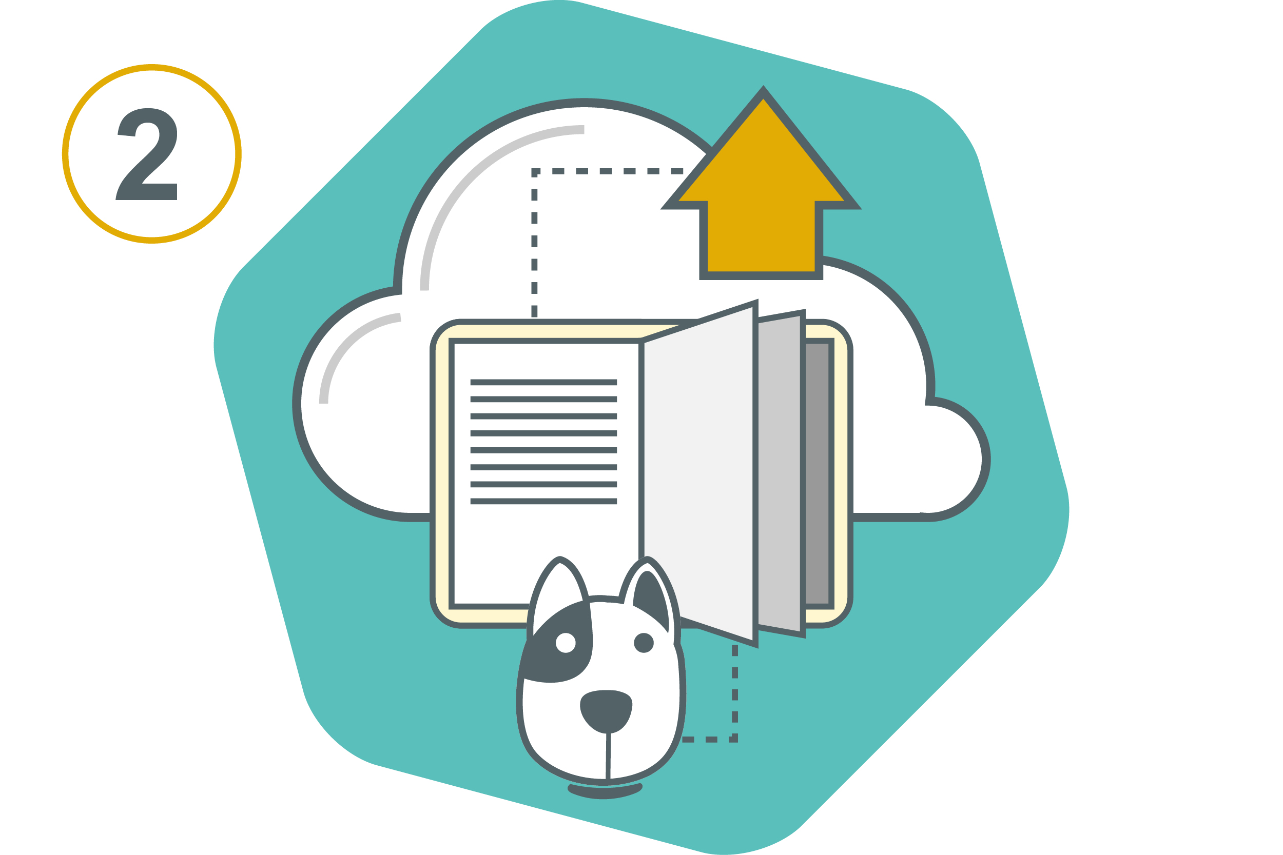 Fill Out a Brief History