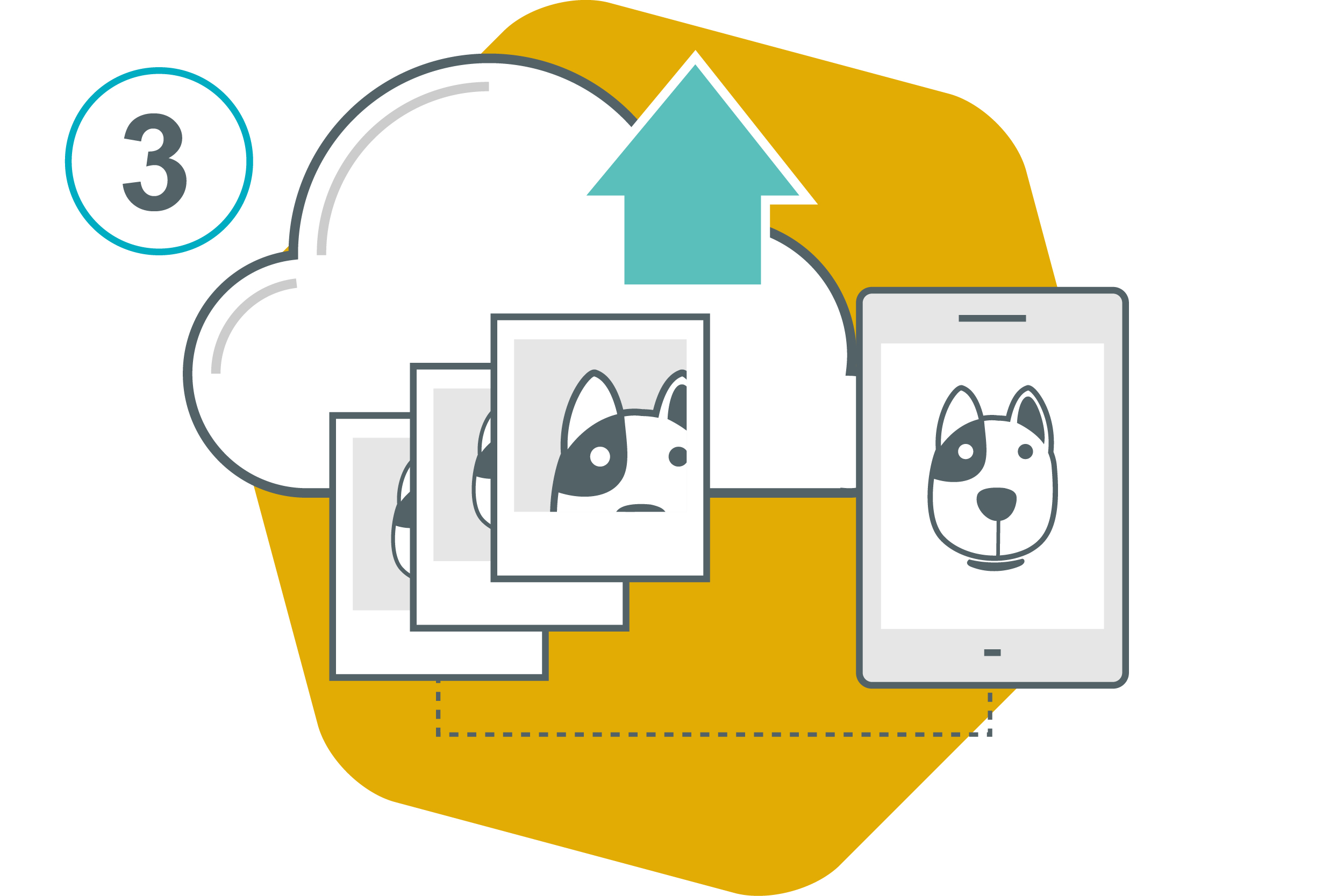 Upload 3 Photographs