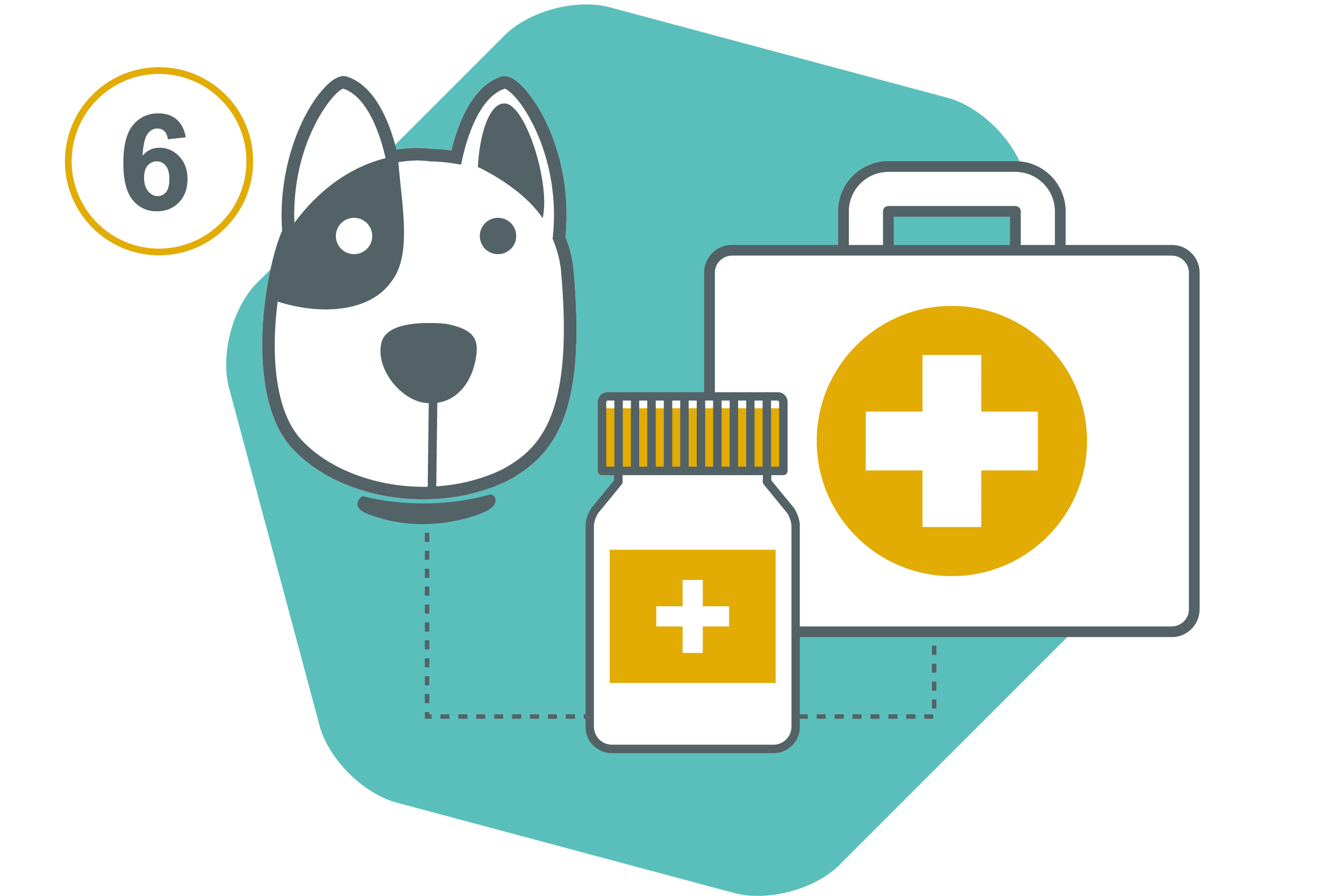 Start Treating Your Pet